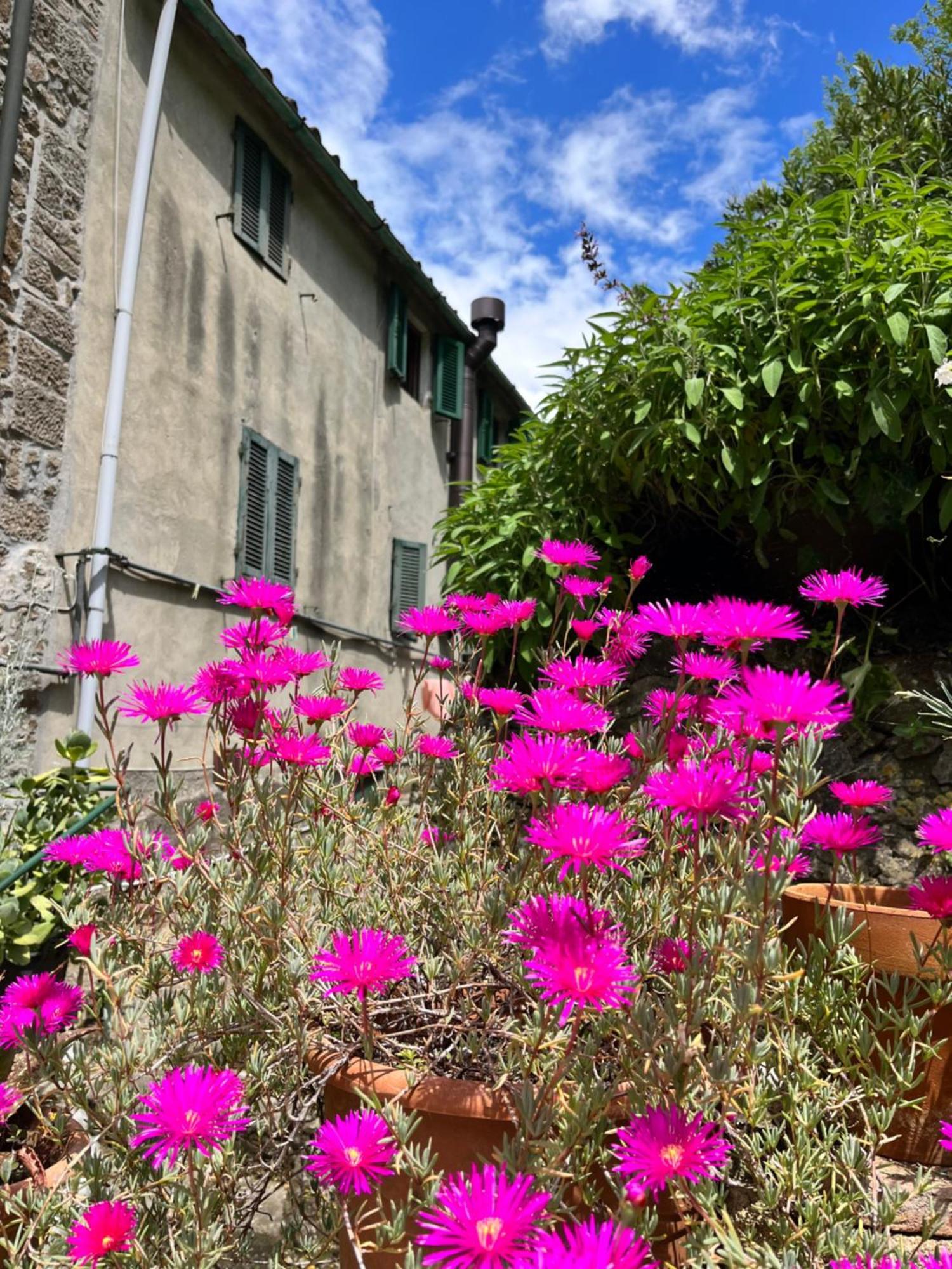 Apartament Casina Orione Montecatini Val di Cecina Zewnętrze zdjęcie
